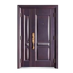 Steel Door
