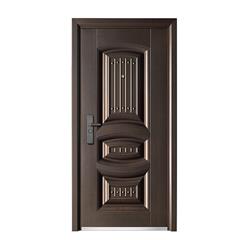 Steel Door